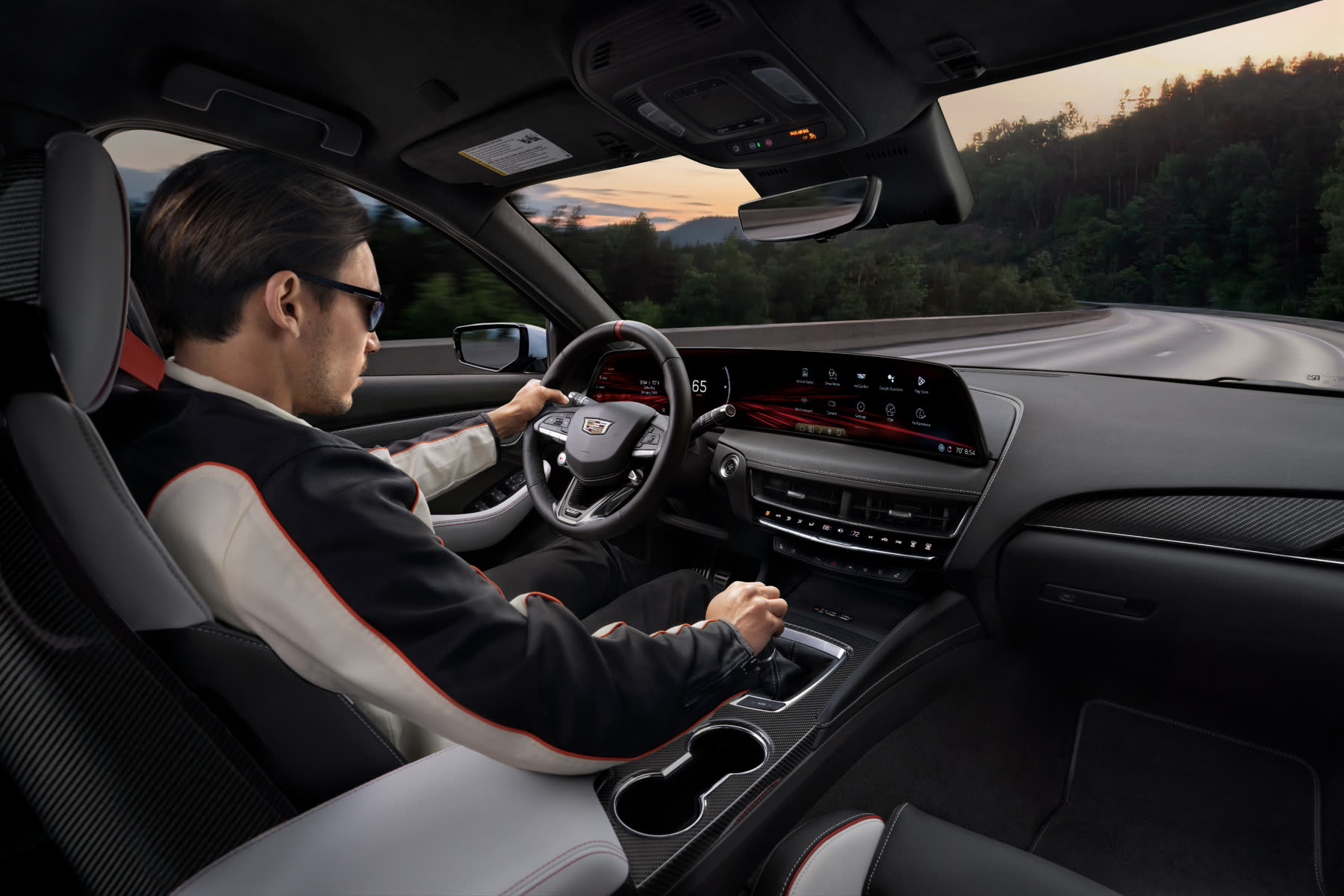 Driver at the wheel, a forested road running past the side window.